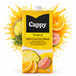 CAPPY TROPICAL 1L