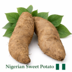 NIGERIAN  Sweet potato   (YAMM)
