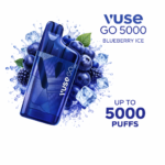 VUSE GO 5000 (BLUBERRY ICE)
